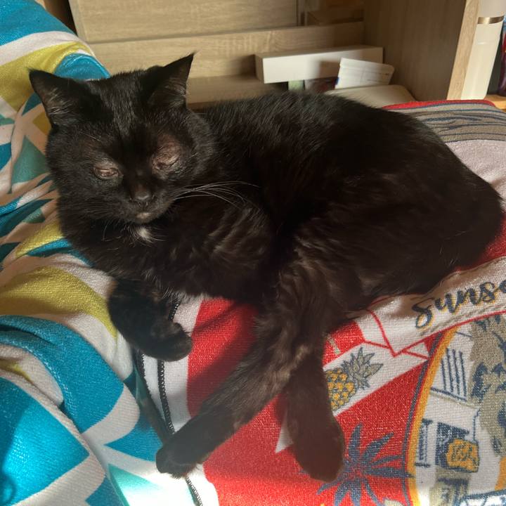 963e2bef ce3a 40a3 8f85 44546a24f32c 1703143648255