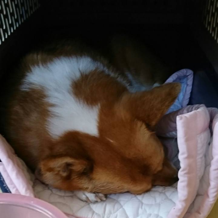 963e3009 8745 4de0 a2fc 16a84481d0d2 1521089799617