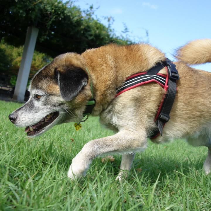 963e37fa 161c 4f35 a8aa 2e50695bd5dc 1679448189908