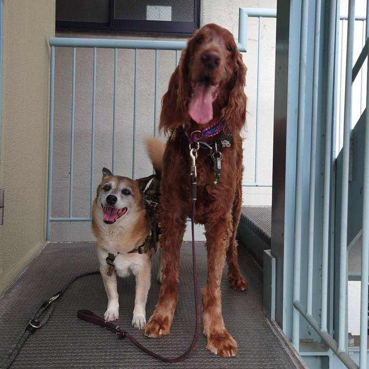 963e644d aadb 4bdb a15b aac650d3f0c3 1620047609428