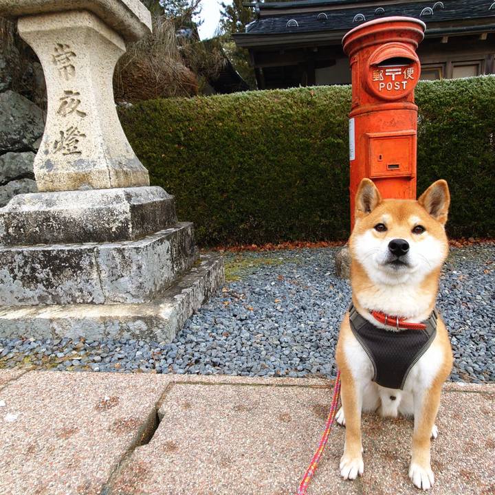 963e80e9 bc88 4980 8085 58786347bb56 1767094132586