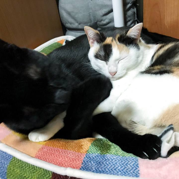 963ec390 1638 42d2 a62d 504449151cf7 1510795670290