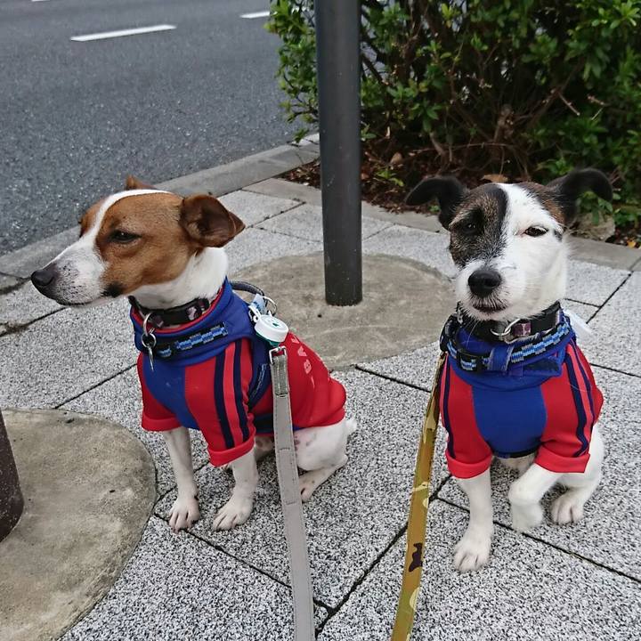 963edb5d 1aec 4304 ba16 84af9b7b61ab 1540679661010