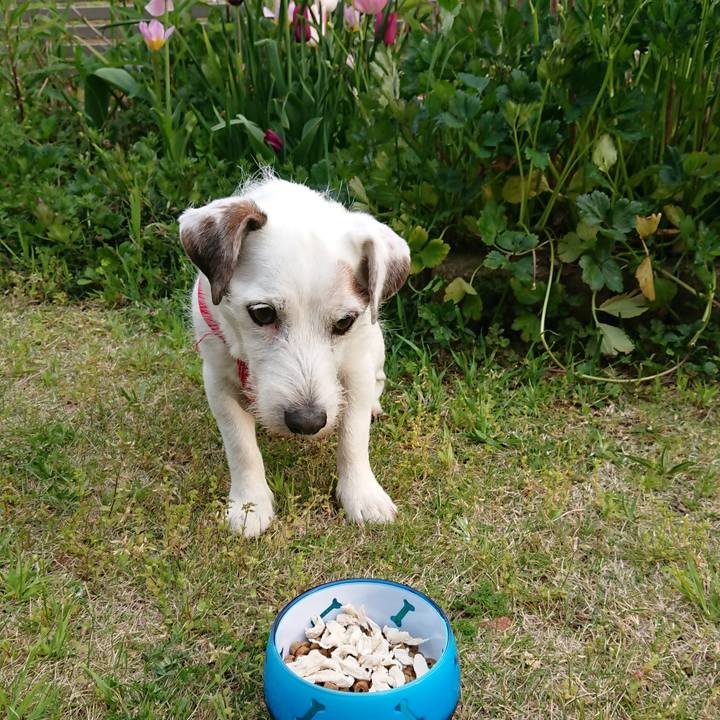 963ee927 20ab 44b7 9700 7d3609a4bdbd 1586939799351