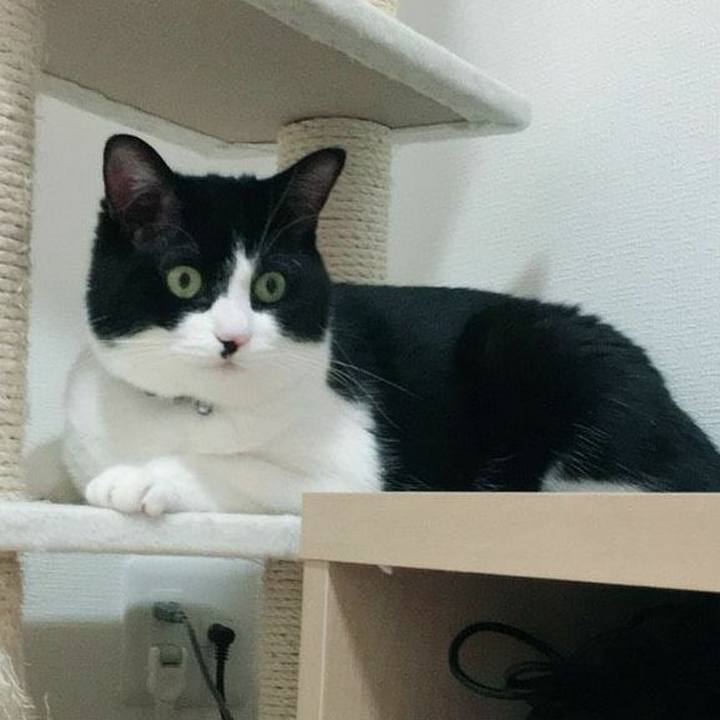 963f5cf7 ec14 4c17 ae8e 52f346fab7a0 1526130010128