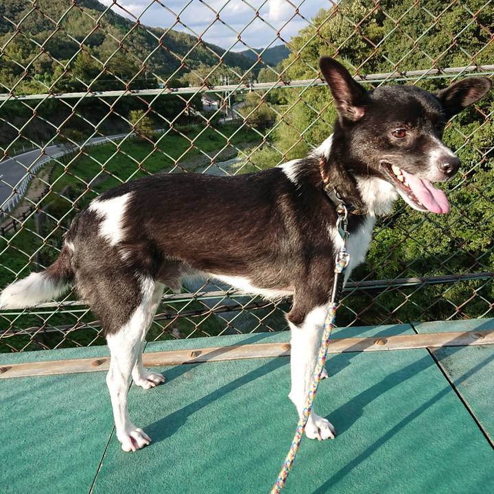 963f5e0d e928 4b5c beb2 b3c71a307990 1538391591267