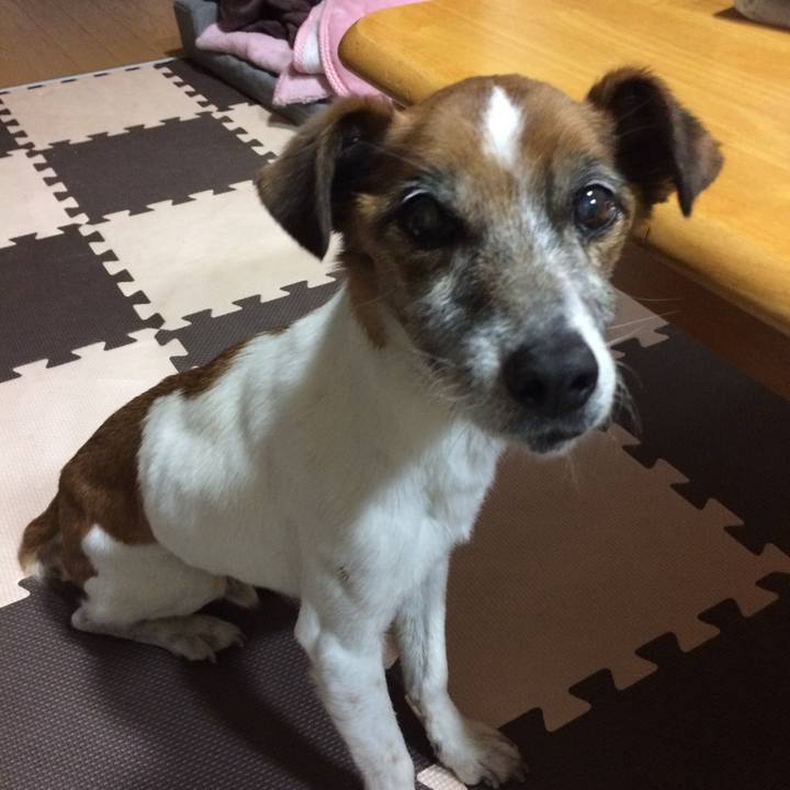 963f801a 8c65 4507 a80c cbdcd48a9748 1521197179231