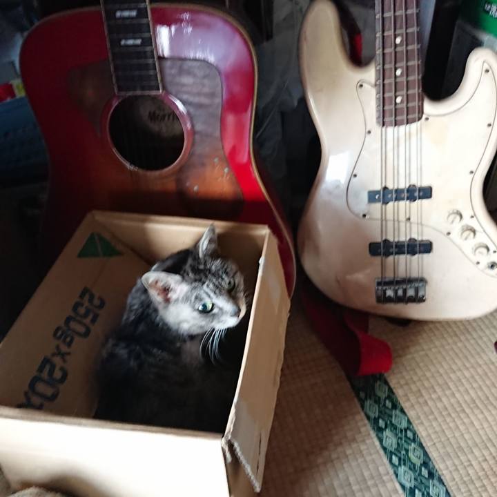 963fb59e 6580 4e9a 8b23 330f987a661a 1590873127373