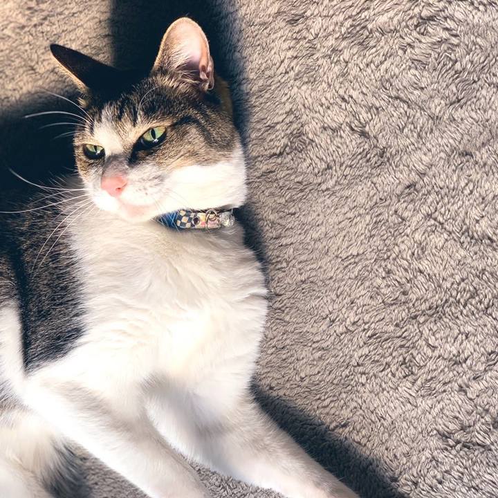 963fc104 fb0d 407f 92f7 3620d70a512b 1582774209563