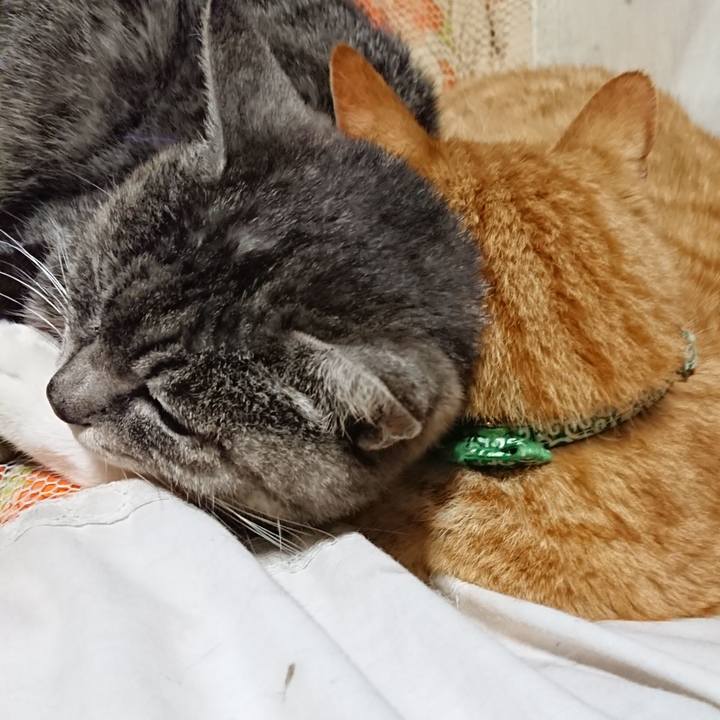 963fc69c bfcb 4390 82f6 5d5c0c564862 1583930979381