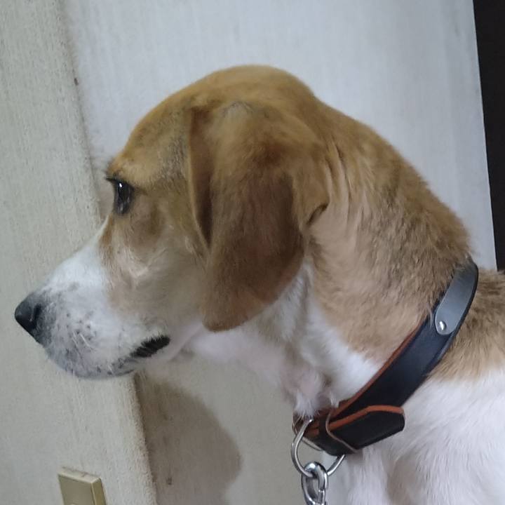 96400e89 f8de 4d08 b203 2afed2f89ec4 1628170269704