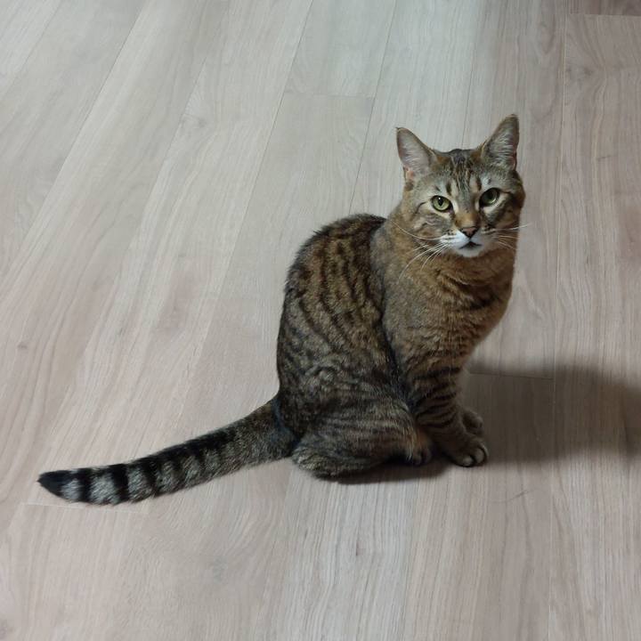 964047d9 0d08 45b1 a646 8fd04fcd9cf4 1646953176247