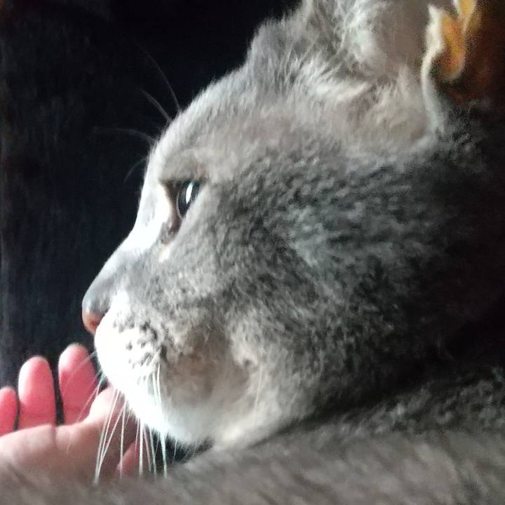 964069b6 7cfd 45a9 a06a 83023f50b372 1685504892701