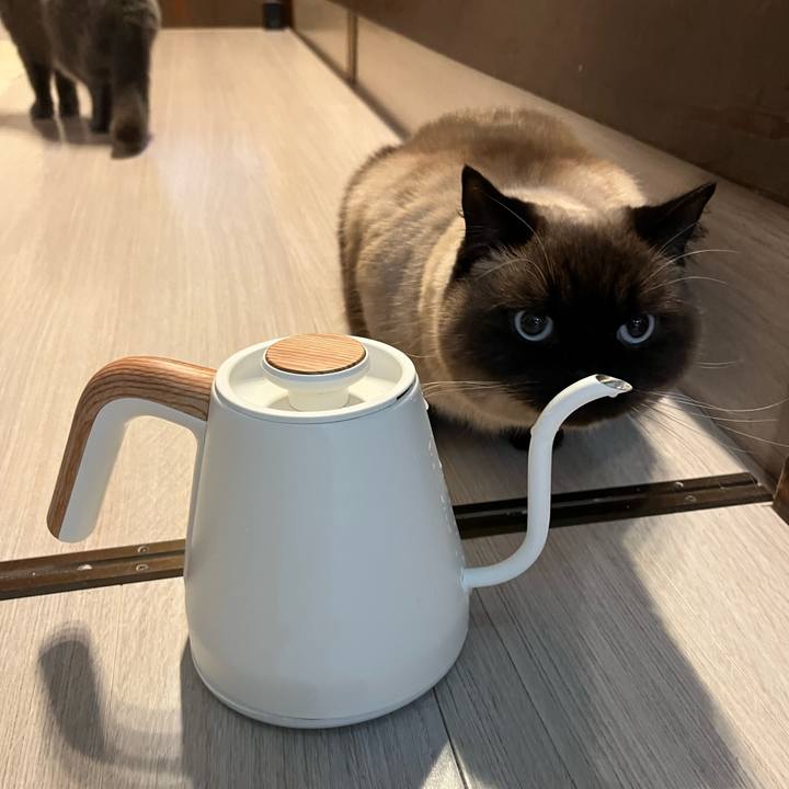 96407495 7c25 4842 a33b bf353c1f46ba 1642234771838