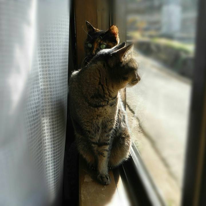 96408435 51f5 4cb9 8630 171b1cde74cb 1513579247328