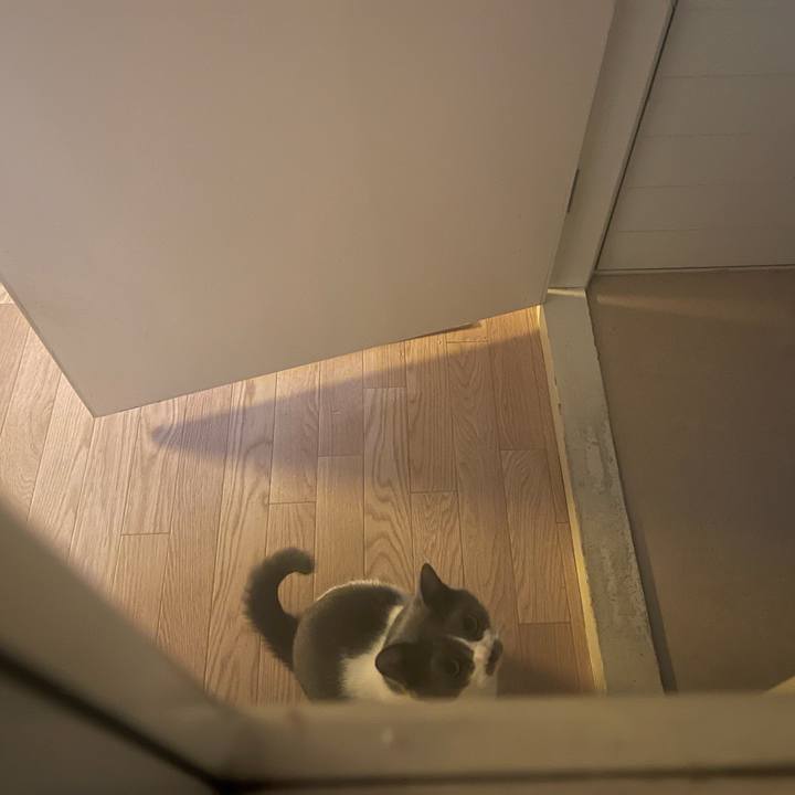 9640b3b0 8b13 4780 976c d16d7fb57cf3 1654497631906