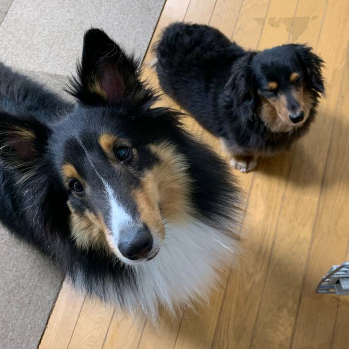 9640bcf5 6360 4ac3 a78d d530e75b4e52 1561067602927