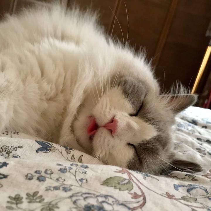 9640e838 1615 436e 9379 a2b1f2a2e9a3 1625556088924