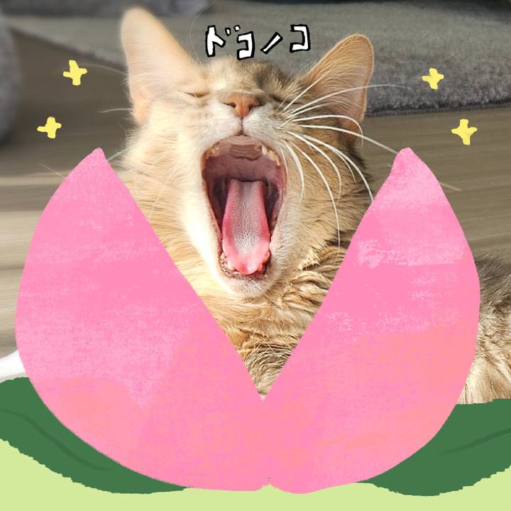 9640f0ed 4a9e 4e1a a4fd d7952a43a156 1771939268278