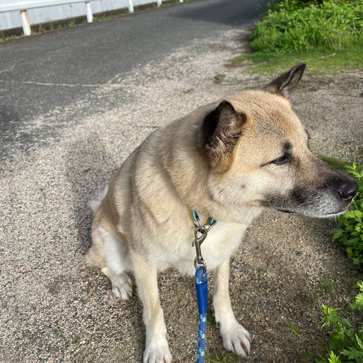 96410565 a676 4667 bed9 fd22516756eb 1656417463285