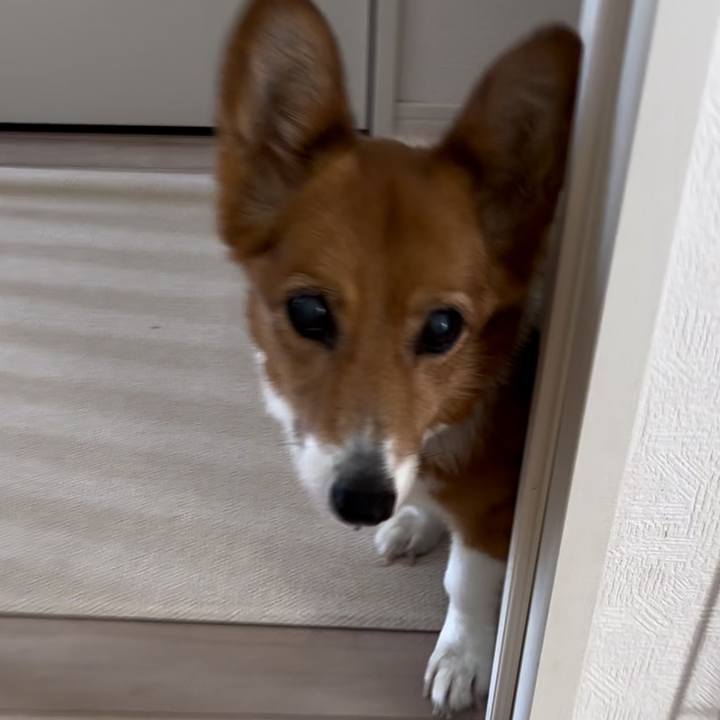 96410c70 3340 47b6 9a6d 7be77c250c50 1758112967654