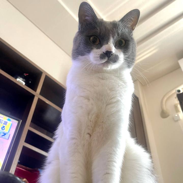 96410d6e dcc9 47e6 8bc8 86db50343834 1656388866611