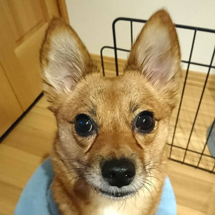 964112b4 afa6 4ec3 bd99 296eb3dc9bae 1511050192433