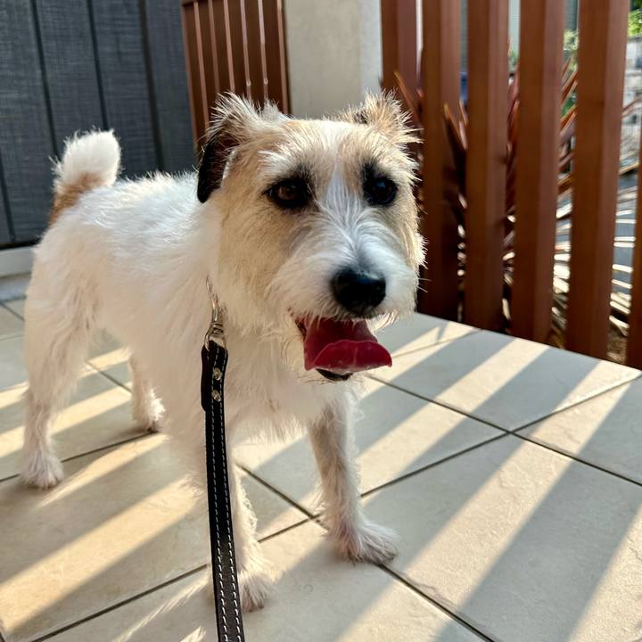 96413a19 367e 4c67 9149 9a22648ec88c 1751550865816