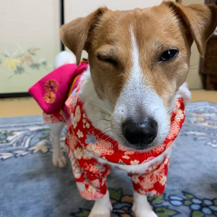 96414694 8d21 4743 9e5b 1776d97ad9b6 1577837548450