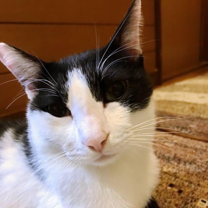 9641cf50 665f 44a9 af28 a2e796ca04e8 1508118558809