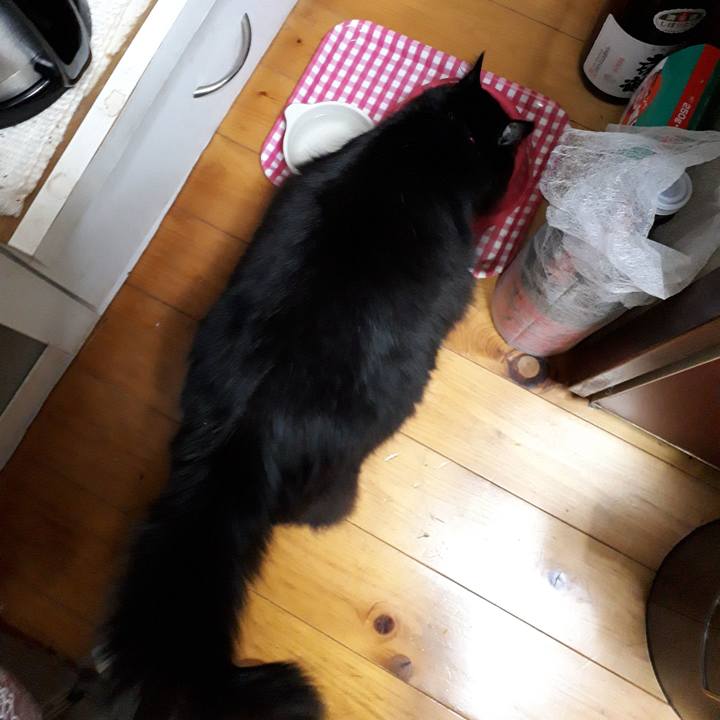 9641d522 13d1 44f4 a7c8 b60d588ea068 1517406382818