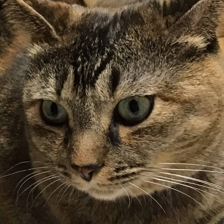 9641f61e 522a 4c19 87ef 9001d5df334b 1731149427543