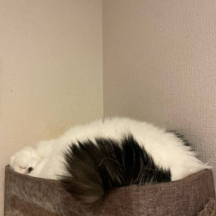 96420a2f dc7d 4bce b818 1851eacf8098 1756609773235