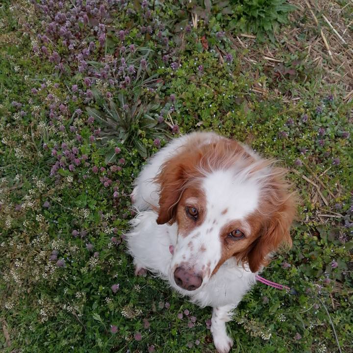 96420d3e 873c 44ea a2a8 98d30e61e713 1615852548501