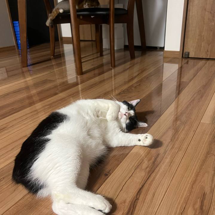 9642329a d4a4 4932 9064 77fd7ced113f 1662042957971