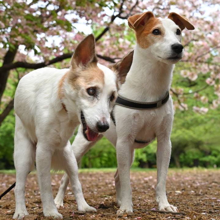 964238b6 c81d 46e5 836f 0979ba7b56fd 1776431615674