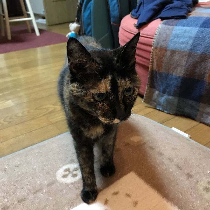 964238cd 1e4e 43db 8f72 53c798852f50 1530615263958