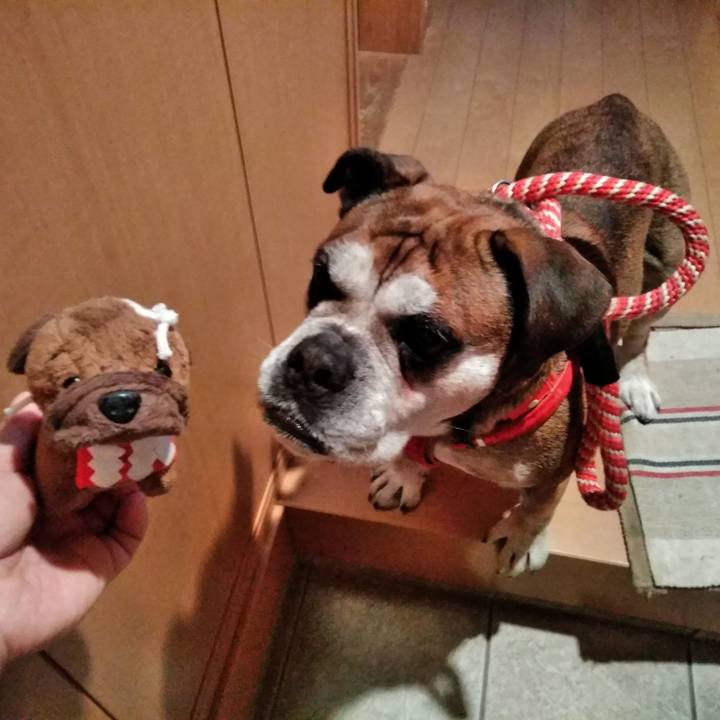 964261dd 34b9 4b5c b12b 987dbc08cf62 1559133619059