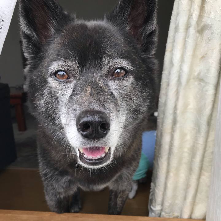 96426277 40d1 4d89 9465 ae19ba6a949f 1561553983693