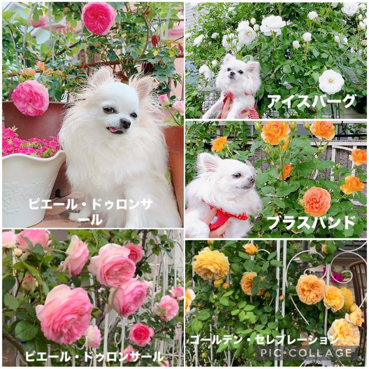 96426b0b 29ad 4f48 93ff b9131d83694c 1747444098559