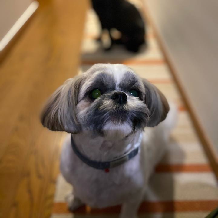 9642938b 1595 4765 b403 f940471dfe32 1694273971823