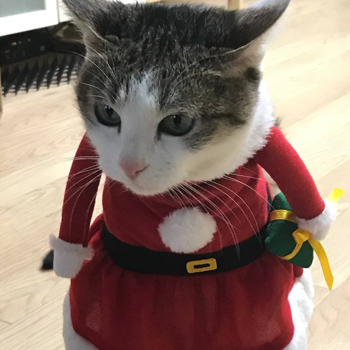 96429cdf e4a8 4a38 8c1a e2e4dae37252 1640391661657