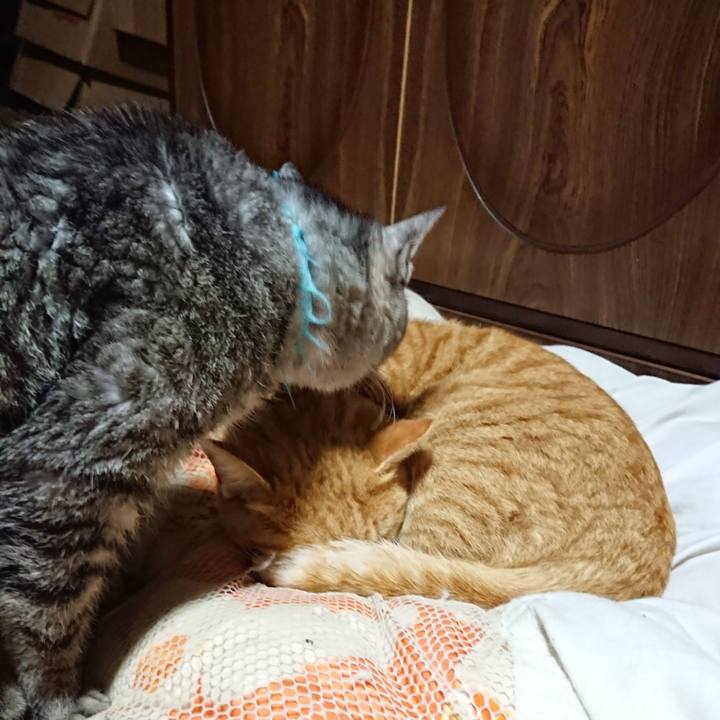 9642b014 2791 48ba a2a4 4ea504ab8b9b 1574598625416