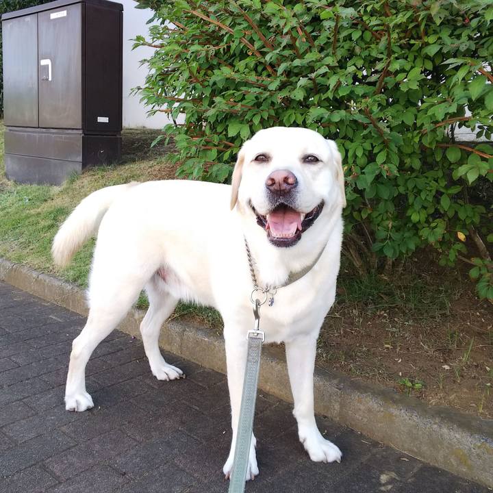 9642c381 6730 4124 9eb6 1a28f6f808e2 1569462143004