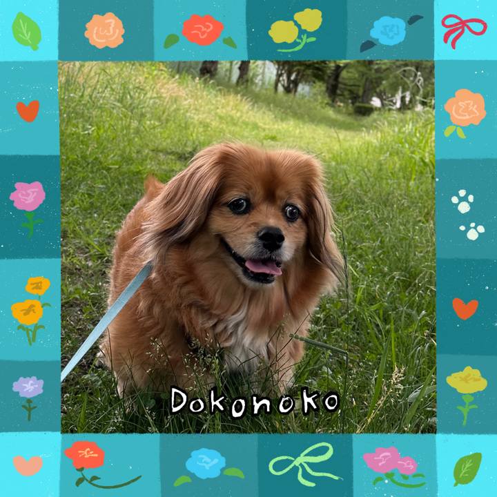 9642f413 9239 4e7f 9701 c450f699a373 1715472285517