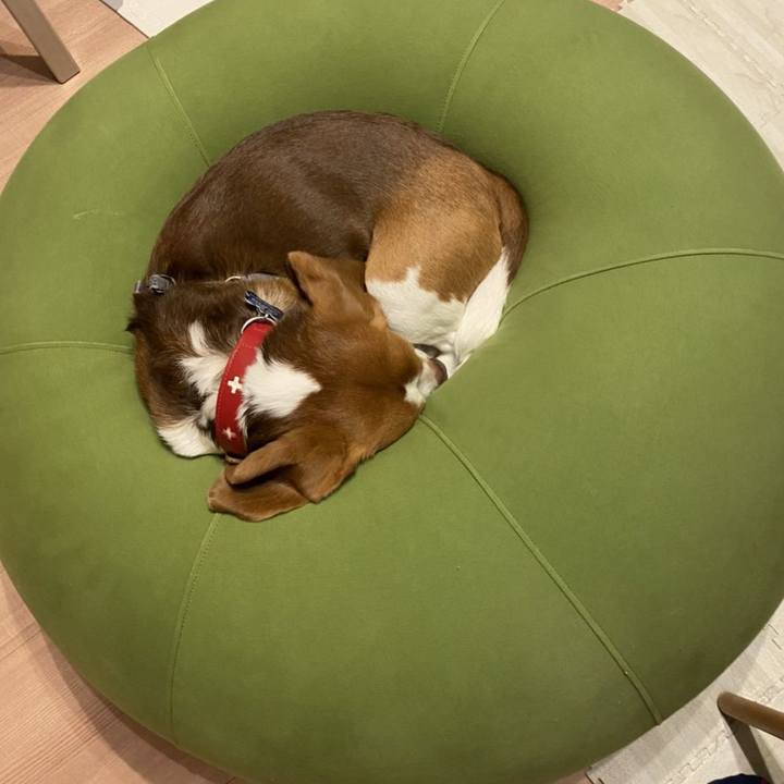 96432493 fef0 4665 8ba9 89f8414e6fd0 1615019203315