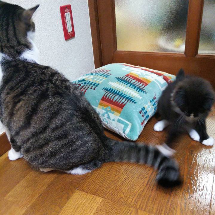 96432e8d 2fce 43db 8ac5 c81c096192ef 1639479936345