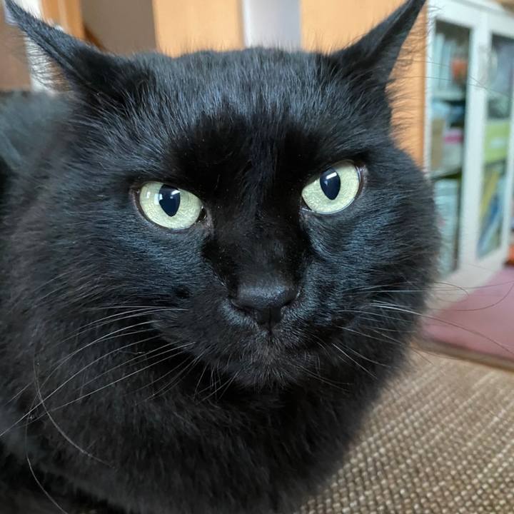 96434188 ec68 4393 b6bd 4e16d5fe4525 1604906919897