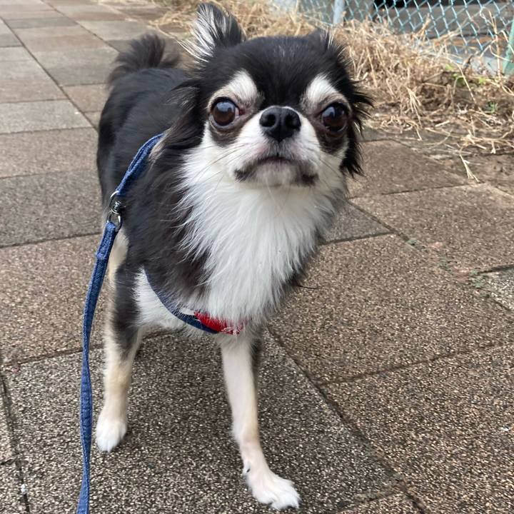 964352a9 8146 4b9e b3f4 97530e8dc6f4 1632629386686