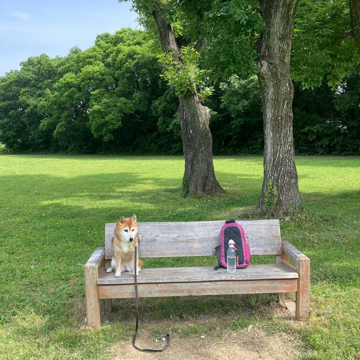 96435411 ff36 479a a517 b102878cbb6c 1748482311332